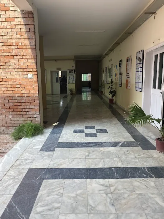 University Institute of Information Technology - PMAS Arid Agriculture University Picture 8