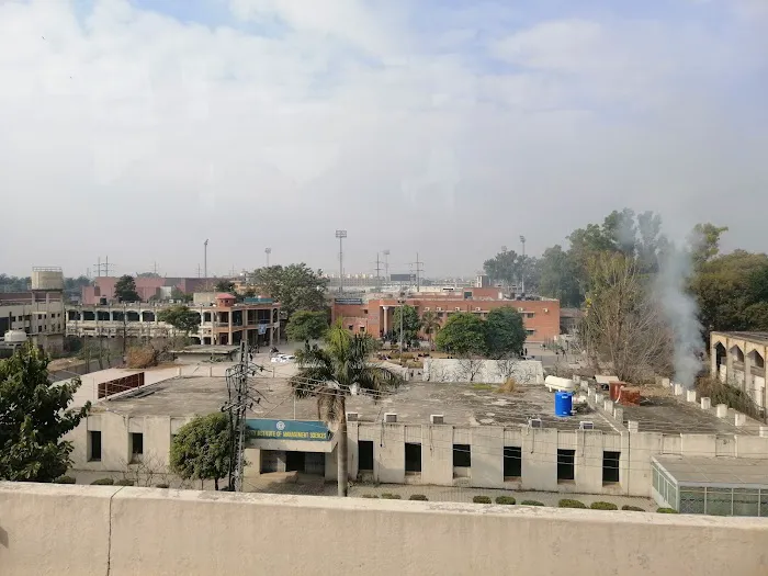 University Institute of Information Technology - PMAS Arid Agriculture University Picture 6