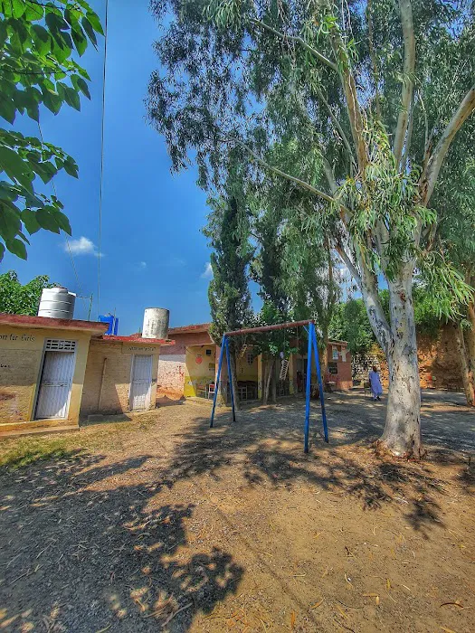 GPS Bagra No.2 Picture 7