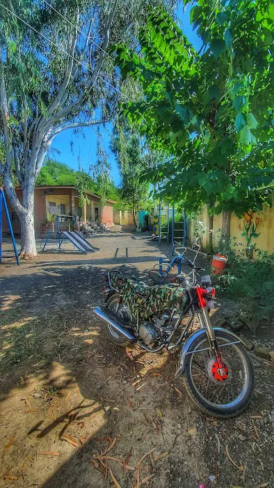 GPS Bagra No.2 Picture 6