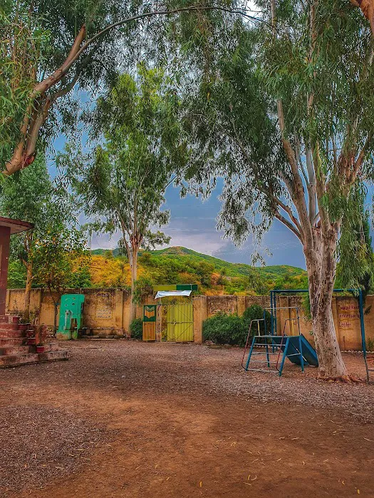 GPS Bagra No.2 Picture 4