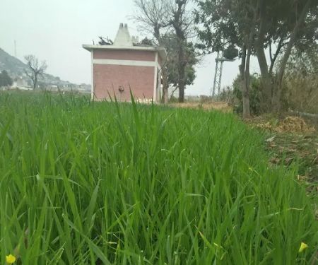 Iabambandi Primary School I
