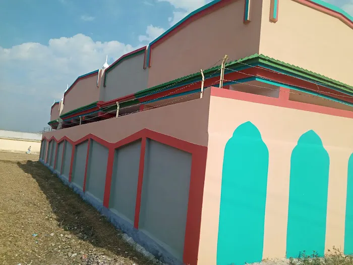 Quba Islamic College for Girls Picture 2