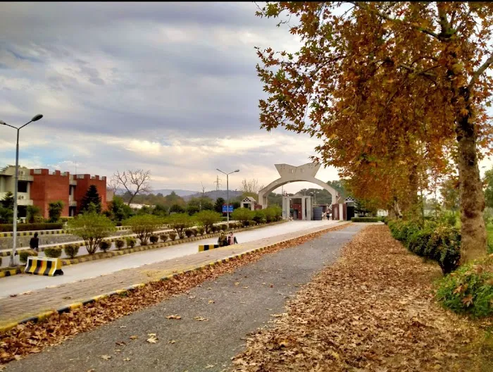 Department of Computer Science Picture 5