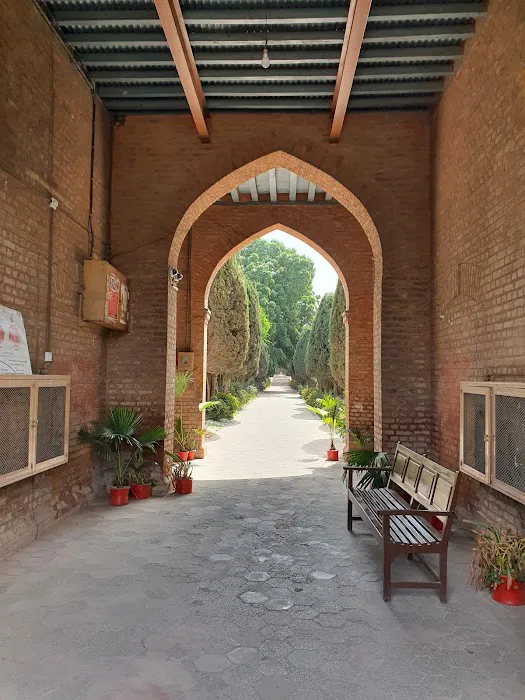 Islamia College University Peshawar Picture 8