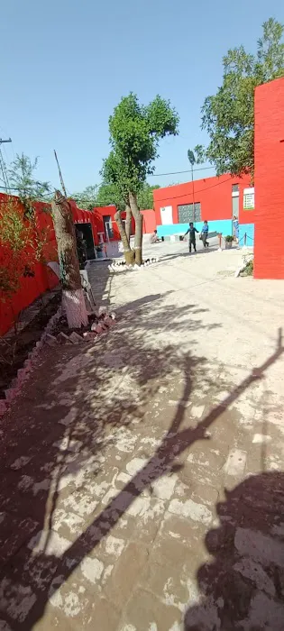 Government Primary School Chak Qazi گورنمنٹ پرائمری سکول چک قاضی Picture 4