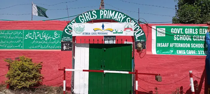 Government Primary School Chak Qazi گورنمنٹ پرائمری سکول چک قاضی Picture 2