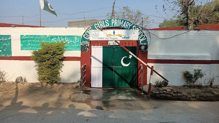 Government Primary School Chak Qazi گورنمنٹ پرائمری سکول چک قاضی Picture 1