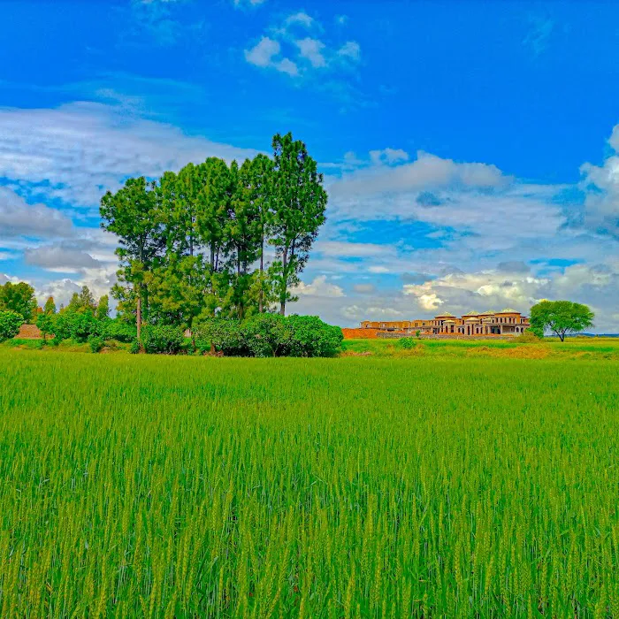 Qutbal Picture 2