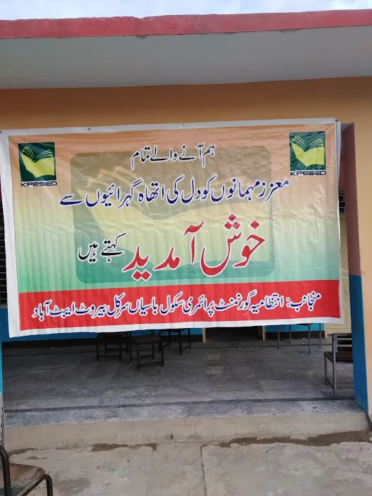 Govt Primary School, Abbasian, Abbottabad, KPK. Picture 4