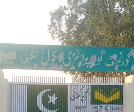 Government Girls Primary School Shinghri