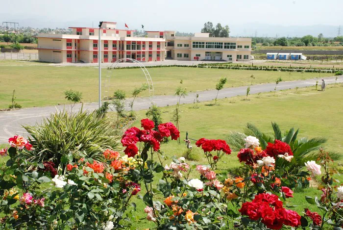 Govt Girls Degree College Kot Najibullah Picture 7
