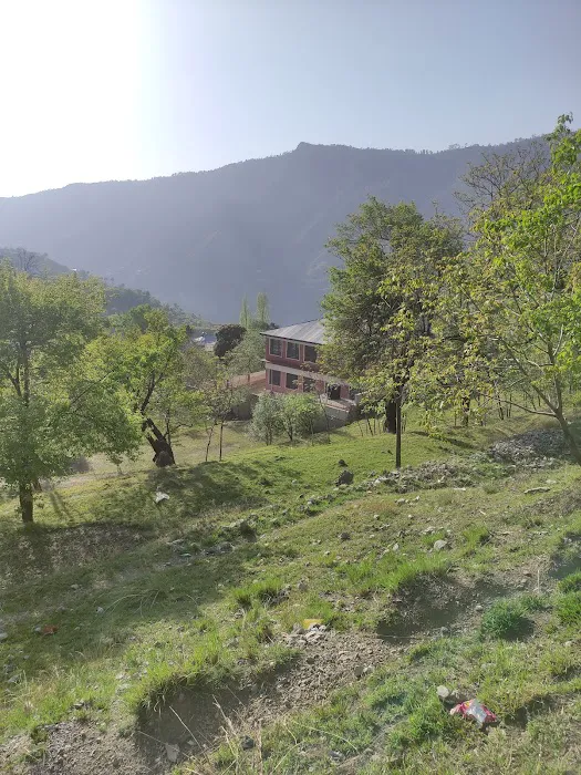 Govt Higher Secondary School and College Tajwal Picture 5