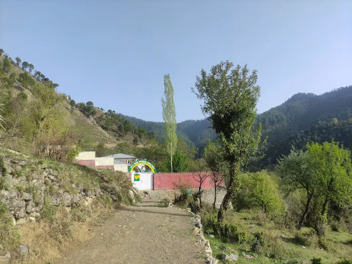 Govt Higher Secondary School and College Tajwal Picture 8