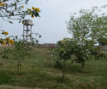 Govt Degree College for Women Mulhal Mughlan