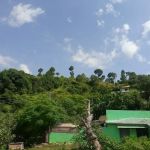 Government School Bajut