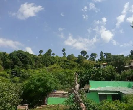 Government School Bajut