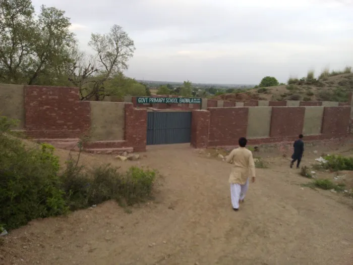 Govt boys primary school baghwala Picture 3