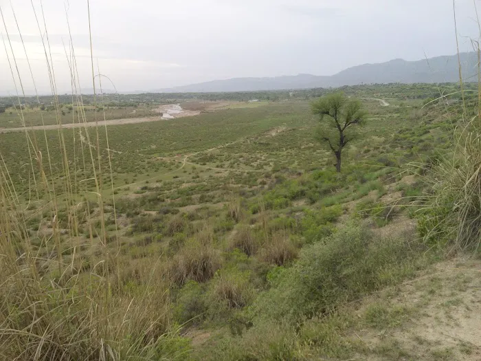 Govt boys primary school baghwala Picture 1