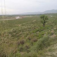 Govt boys primary school baghwala ico