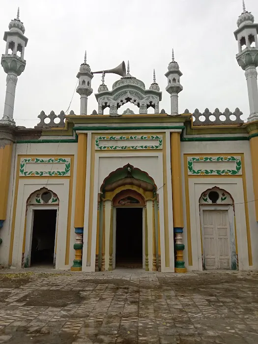 Govt Boys Primary School Ghaziot Picture 1