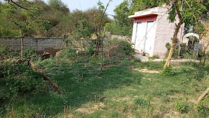 Govt model primary school natain Picture 4