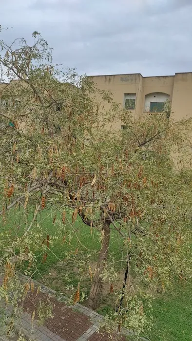 KIPS College (6th Road Campus) Picture 3
