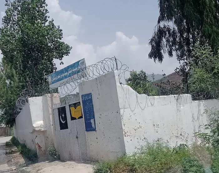 Govt Primary School Dharam Pani Picture 1