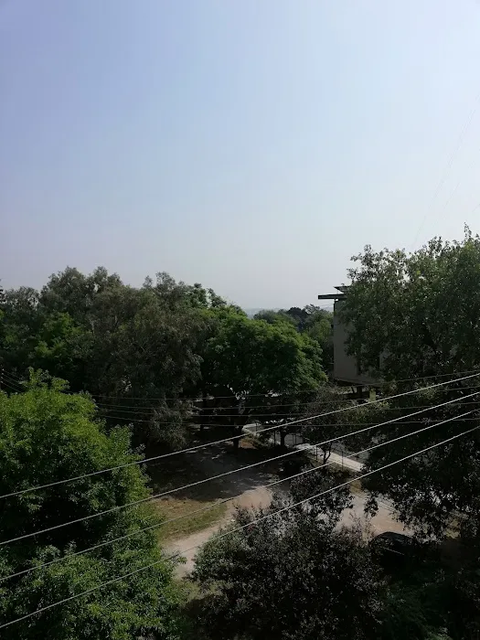 Zoology Department, Quaid-i-Azam University Picture 6