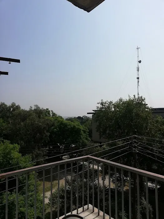 Zoology Department, Quaid-i-Azam University Picture 5