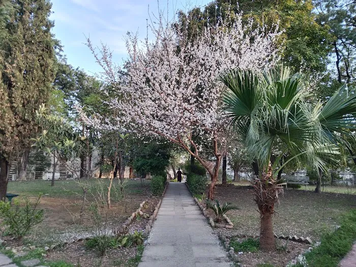 QAU boys hostel 3/4 Picture 1