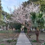 QAU boys hostel 3/4