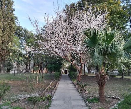 QAU boys hostel 3/4
