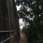 Department of physics
