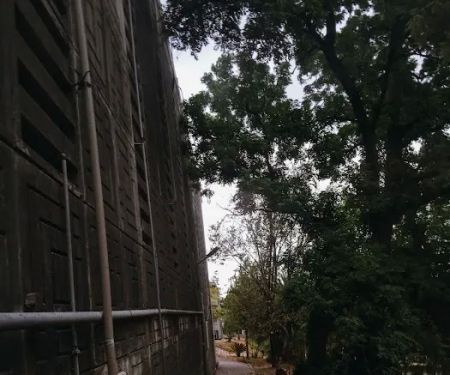 Department of physics