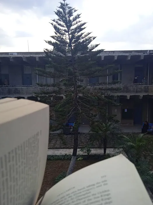 Department of physics Picture 2
