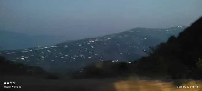 Govt Girls Primary School Riyala Picture 1