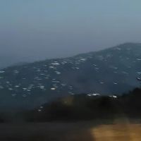 Govt Girls Primary School Riyala ico