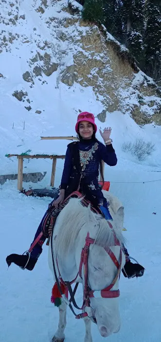 Govt Boys Elementary School Picture 2