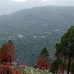 sandari Mohallaha Syedaan