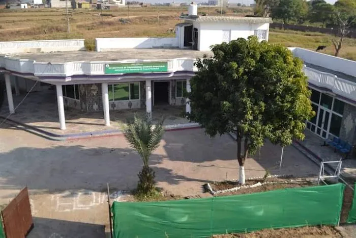 MS INSTITUTE OF PROFESSIONAL COURSES Picture 3