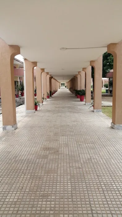 National Skills University Islamabad Picture 4