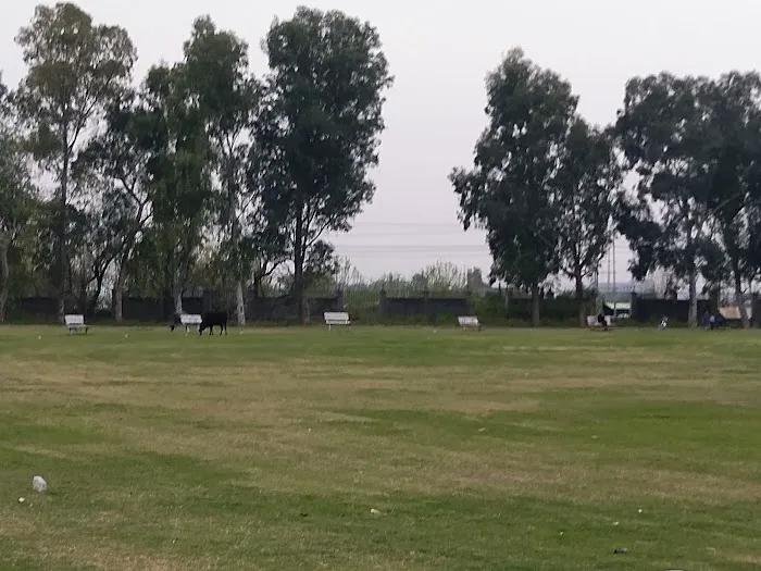 Department of Chemistry, QAU Picture 9