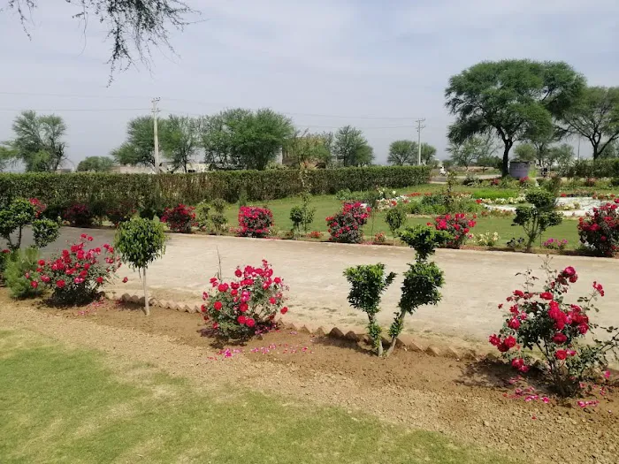 Punjab Group of Colleges Dina Campus Picture 9