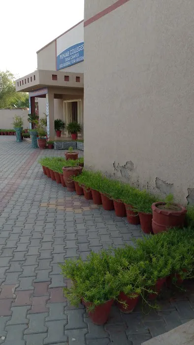 Punjab Group of Colleges Dina Campus Picture 7