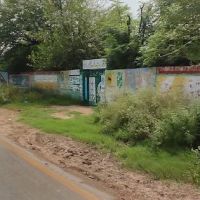 Govt girls elementary school ico