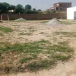 Al-Amir Junior School Raiyan