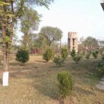 Government Graduate College Dina