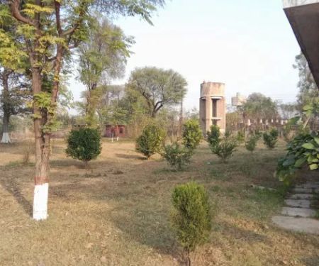 Government Graduate College Dina