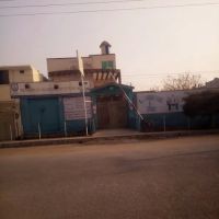 Synergy School System ico